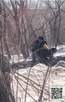 ff1da1153408cc8477c93e0593163a48.jpg