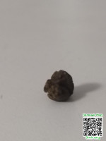 d82557b77b511ebf4ebedea33591a236.jpg