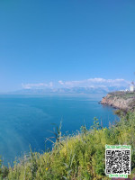 79258b24fff7aa5446f30b04949f8db8.jpg