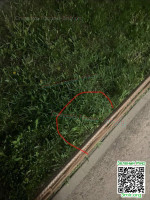 d779e810193b4f24e060a4b423d4b426.jpeg