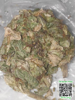 b61802b209cd4bc28684100ae8288ee2.jpg
