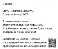 7f0d7c4408d80f26f8c478aa59f01440.jpg
