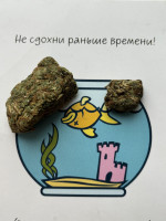 4a9ec761d22b626749b46e08b1f51e2a.jpeg