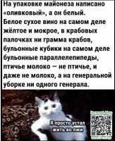 5739f8718e8f1316510446dc9c3997af.jpeg