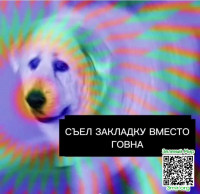 c36fdc9f72726c83d733fd2d628d81f3.jpg