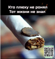 04dd84a312b67657ec3cf16a9c0af7ed.jpg