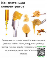 297a0125249d3578f90ce38a6ad8100b.jpg
