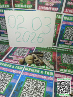 2fcae8b75dd5216cceb8cdf9bb035c98.jpg